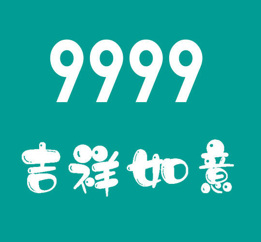 菏澤尾號9999吉祥號